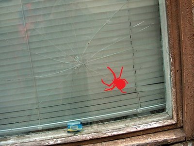 spider glass web